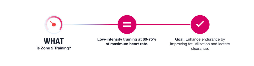 Zone 2 Training improves fat utilization and lactate clearance