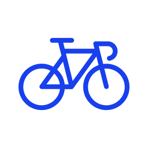 Bike 300 Chip Pb